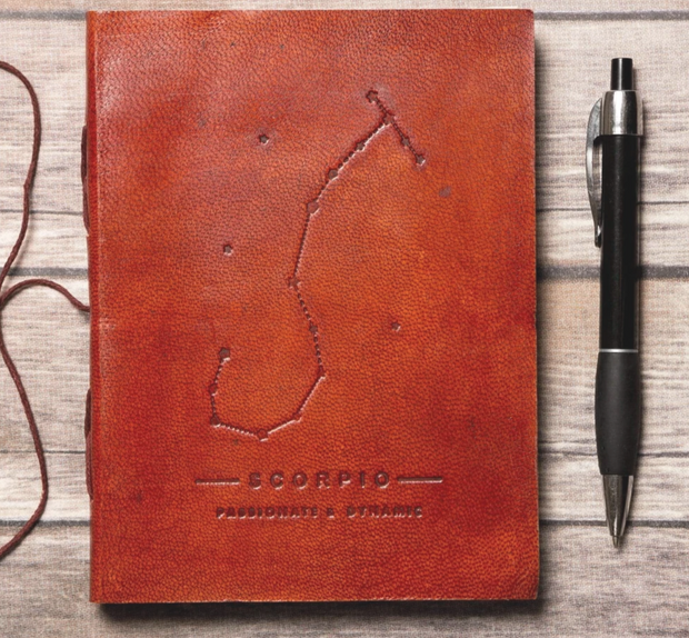 Zodiac Leather Journal