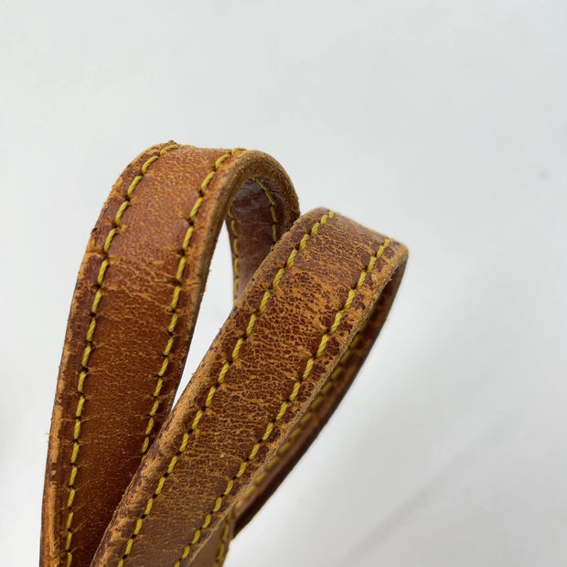 LV Mono Bucket PM Tote